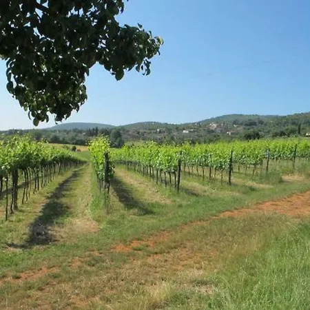 Bioagriturismo Ficareto بيت ضيافة سوفيتشيلي